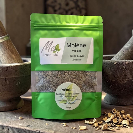 Molène - Me Essentiels