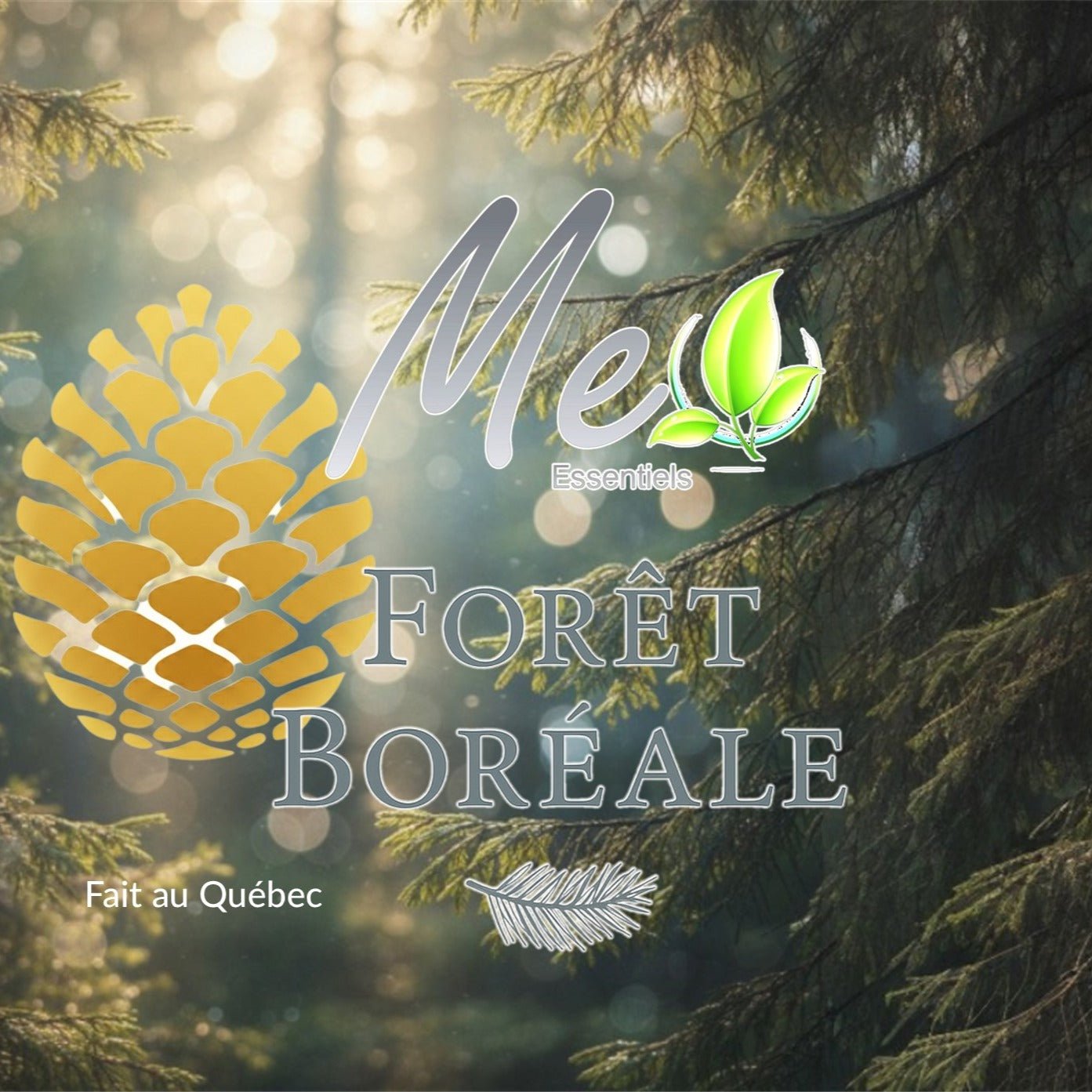 FORÊT BORÉALE