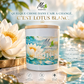 LOTUS BLANC - Quelque chose dans l’air a changé. C’est Lotus Blanc. - Me Essentiels