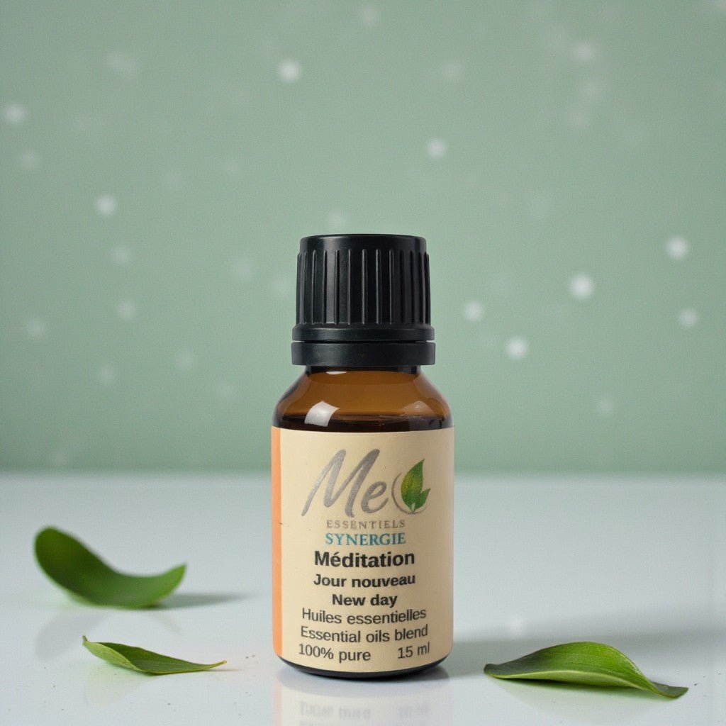 MEDITATION, UN JOUR NOUVEAU - Me Essentiels
