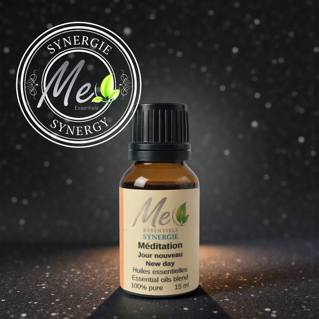 MEDITATION, UN JOUR NOUVEAU - Me Essentiels