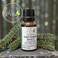 Sapin baumier - Huile essentielle - 15ml - Me Essentiels